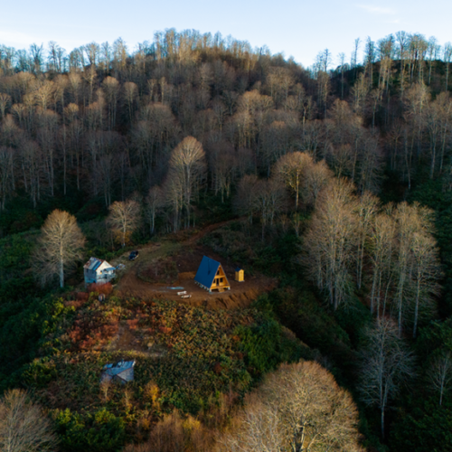 Trail Construction
